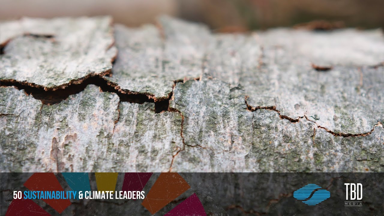 Siempelkamp: Making wood-based panel production more sustainable