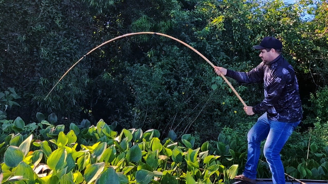 S&Oacute; A VARA DE BAMBU PRA AGUENTAR ESSES PEIXES,PESCAMOS E FIZEMOS PEIXE FRITO NA BEIRA DO RIO/PESCARIA