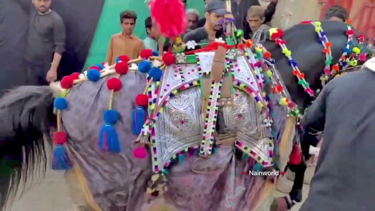Zuljanah Malang faqeer location kotri don hafiz imam bargah