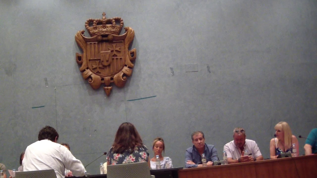 Pleno Cuarte de reparto de cargos 1-7-2019