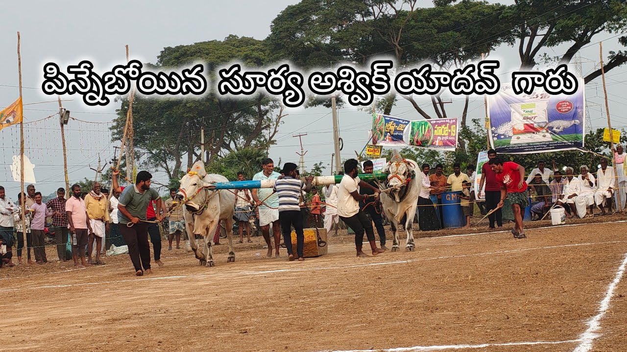 మాచవరం గ్రామం న్యూ కేటగిరి విభాగం💥1వ జత 💥పిన్నేబోయిన  సూర్య అశ్విక్ యాదవ్  గారు రెంటల