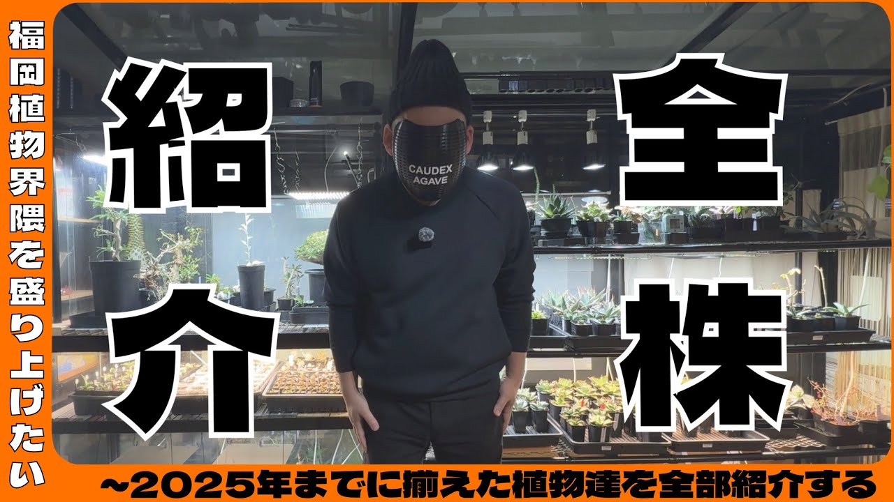 【アガベ】全株紹介！2025年までに集めた植物を紹介します。
