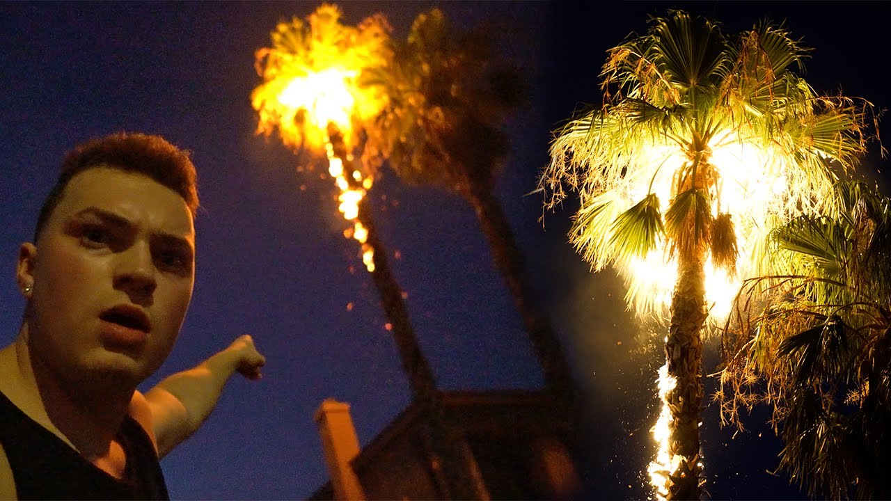 FIREWORK EXPLOSION GONE TERRIBLY WRONG!
