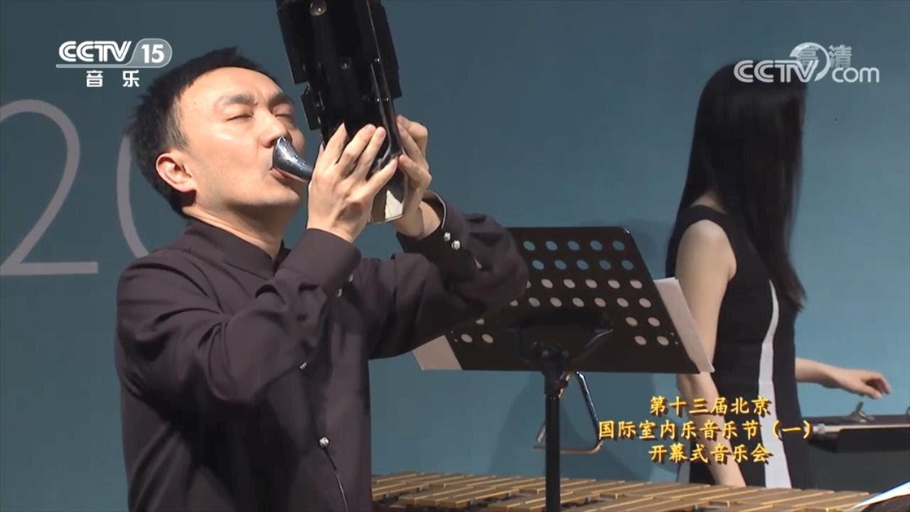 【笙&middot;大提琴】王磊 - 天际风声