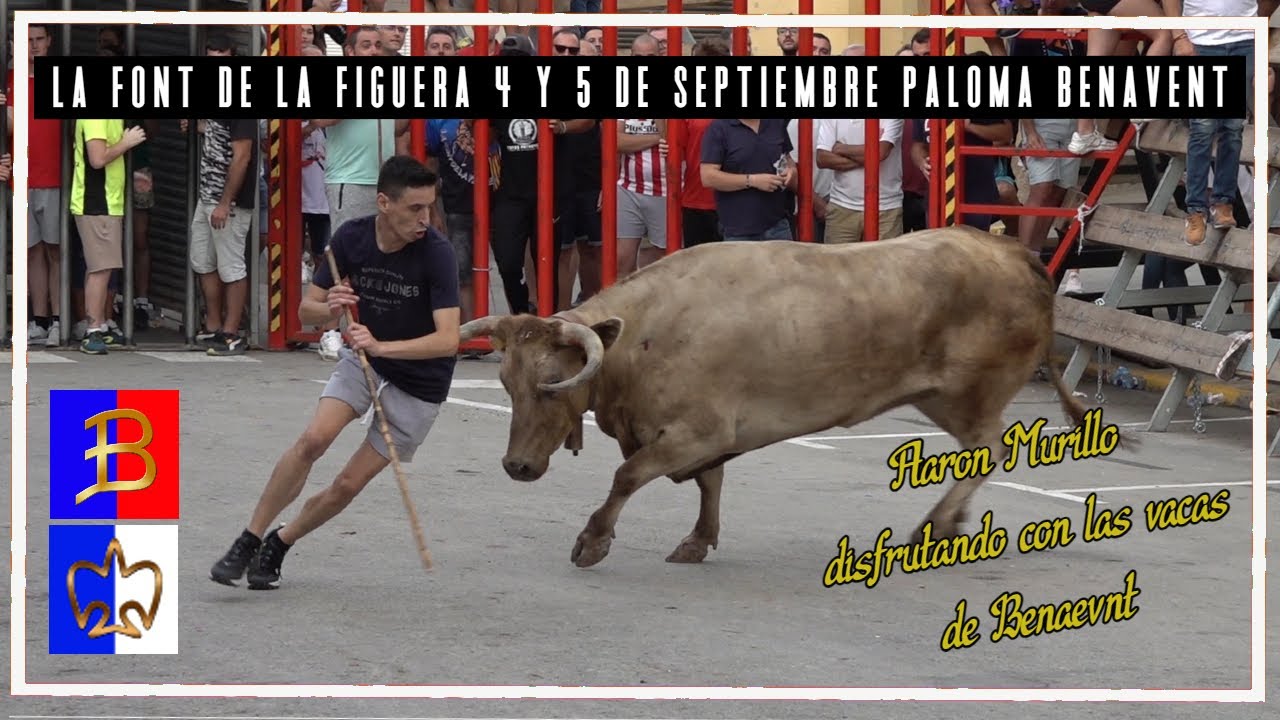 La Font de la Figuera 4 y 5 ▪ 09 ▪ 23 Ganaderías la Paloma y Benavent