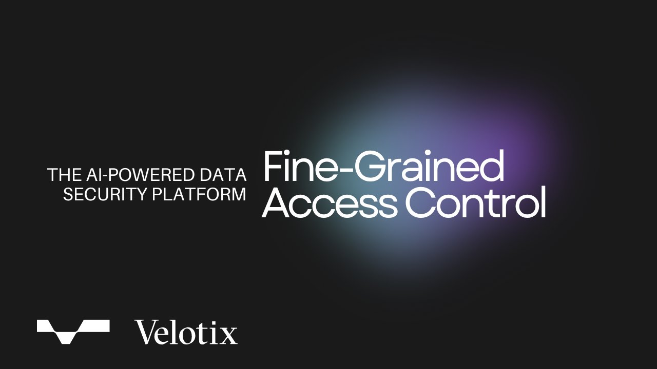 What is Fine Grained Access Control? Importance & Use Cases