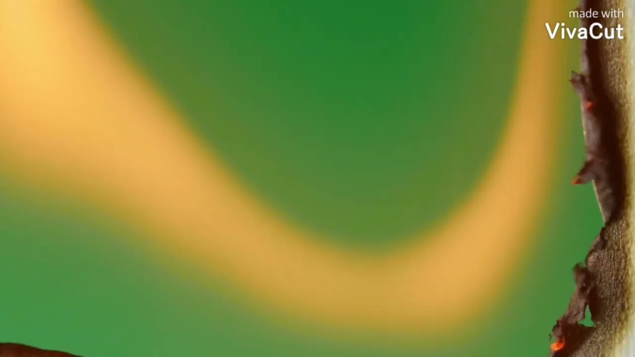 Burning paper Green screen