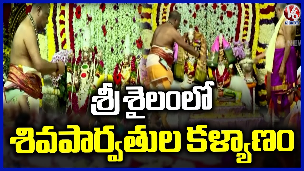 Shiva Parvathula Kalyanam Grandly Held In Srisailam Temple | Maha Shivaratri 2025 | V6 News