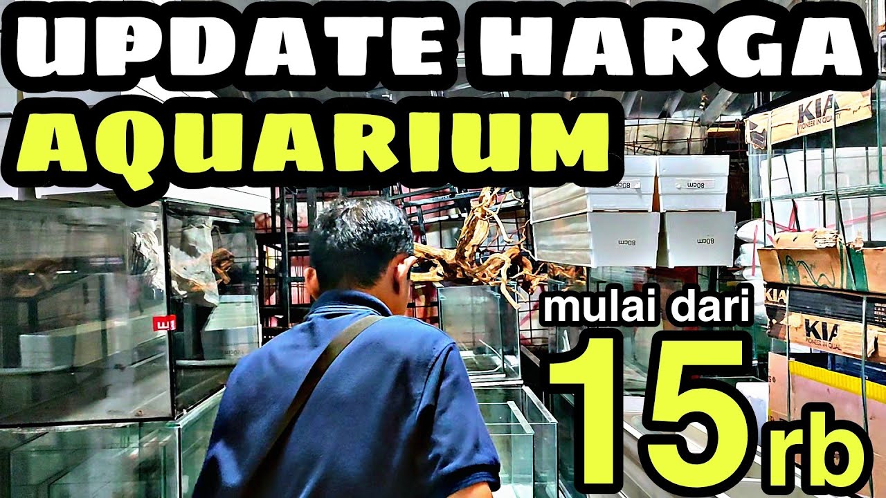 UPDATE HARGA AQUARIUM MURAH MERIAH DI PASAR IKAN HIAS JATINEGARA TERBARU || KIOS ARIS AQUARIUM