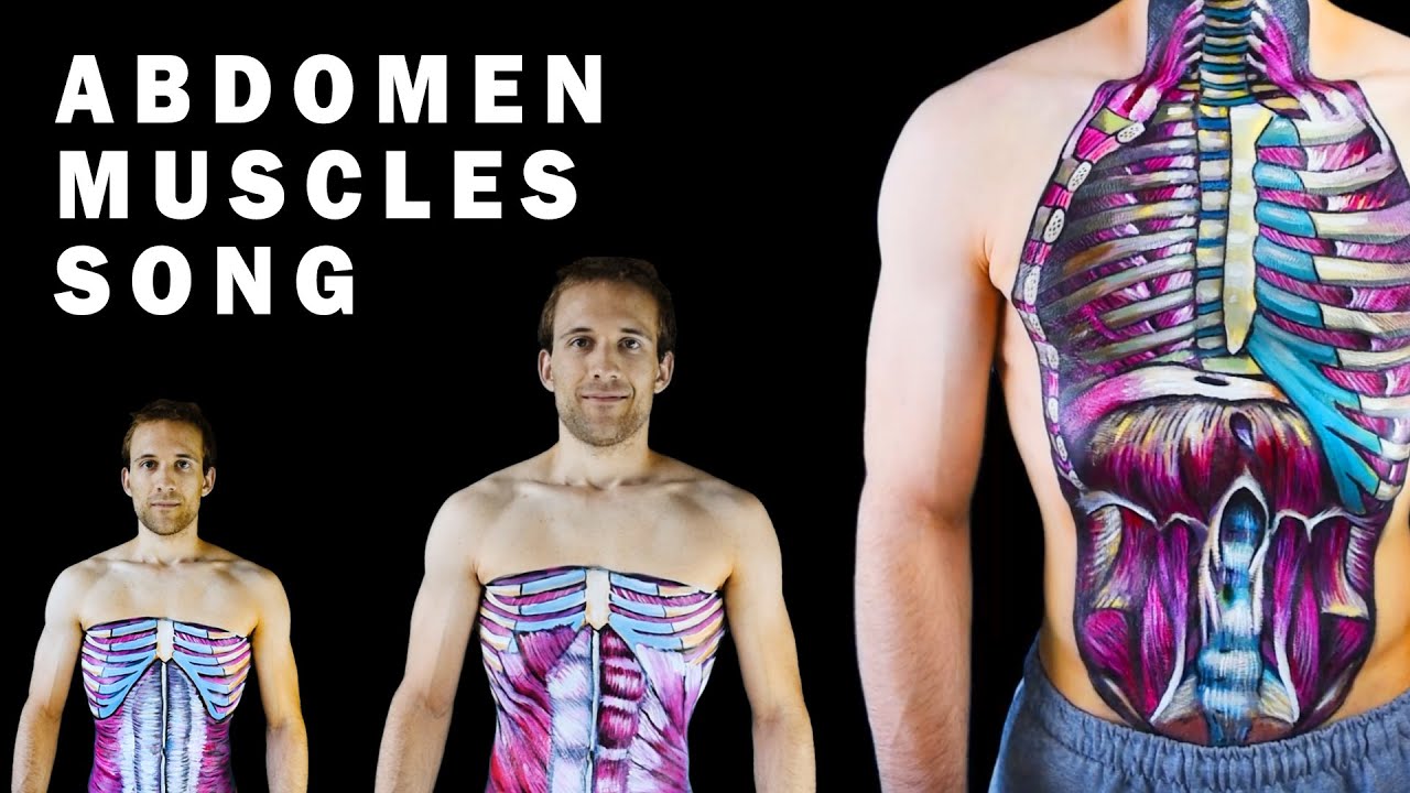 ABDOMINAL MUSCLES SONG