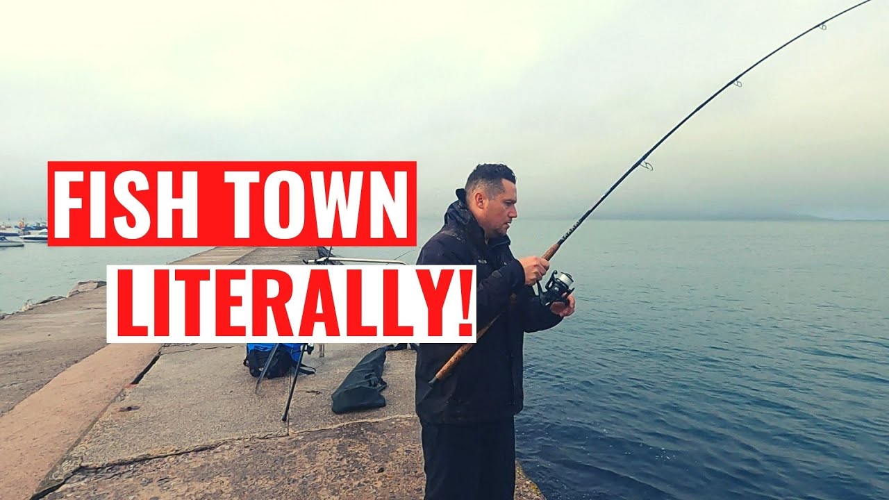 BRILLIANT BRIXHAM: The Best Sea Fishing In The UK??
