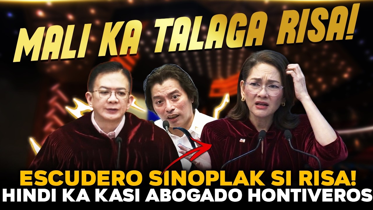 GOOD NEWS NGAYON! CHIZ ESCUDERO SINUPALPAL SI RISA HONTIVEROS! ATTY. POA SINAGOT MGA SENADOR
