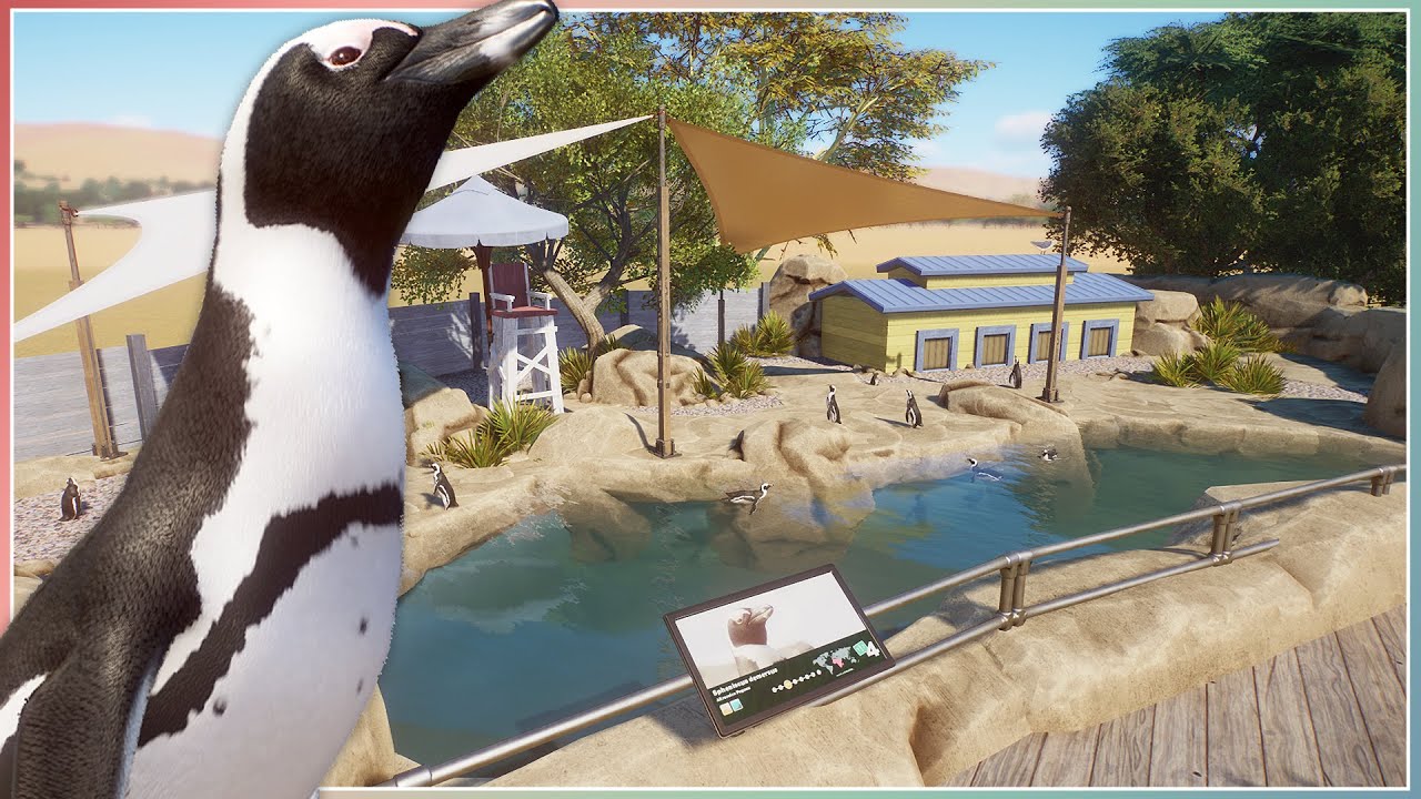 African Penguin Habitat | Planet Zoo Speed Build