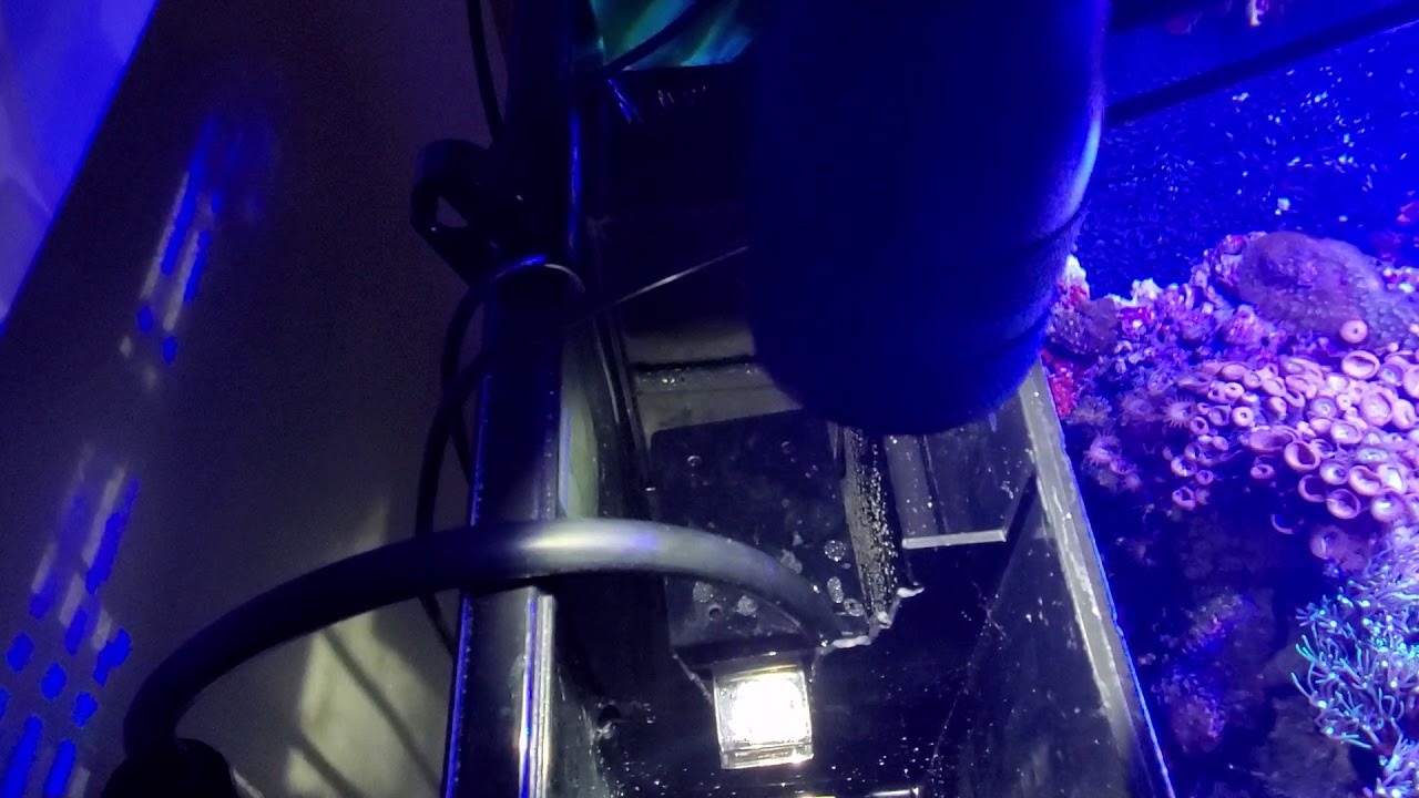 Coralife Biocube 32 Review, Tips and Upgrades