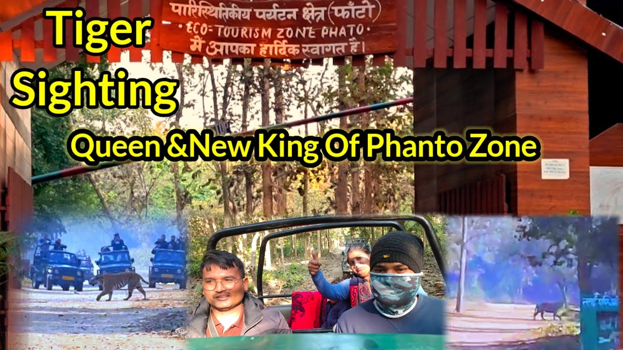 Tiger Sighting ( भोला और नककटी) In Phanto Zone