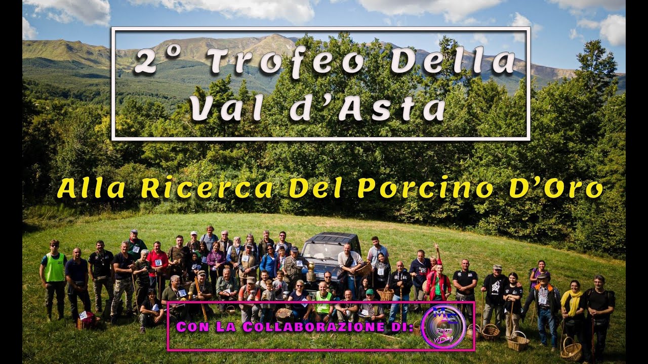 ALLA RICERCA DEL PORCINO D'ORO.