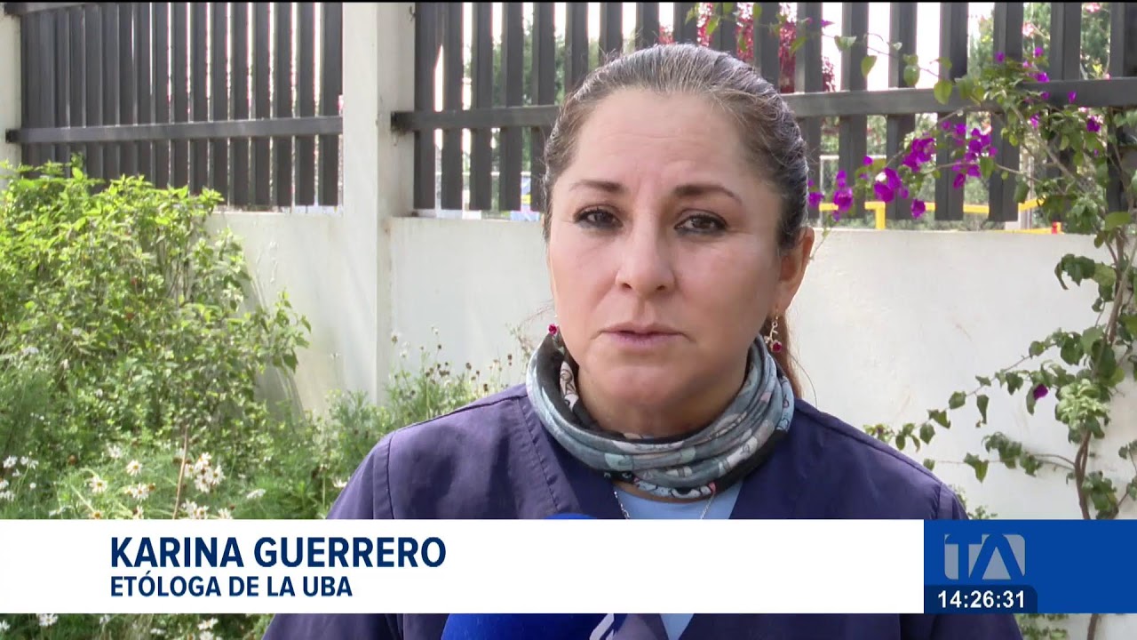#ENVIVO | Noticiero de Quito, Emisión Central