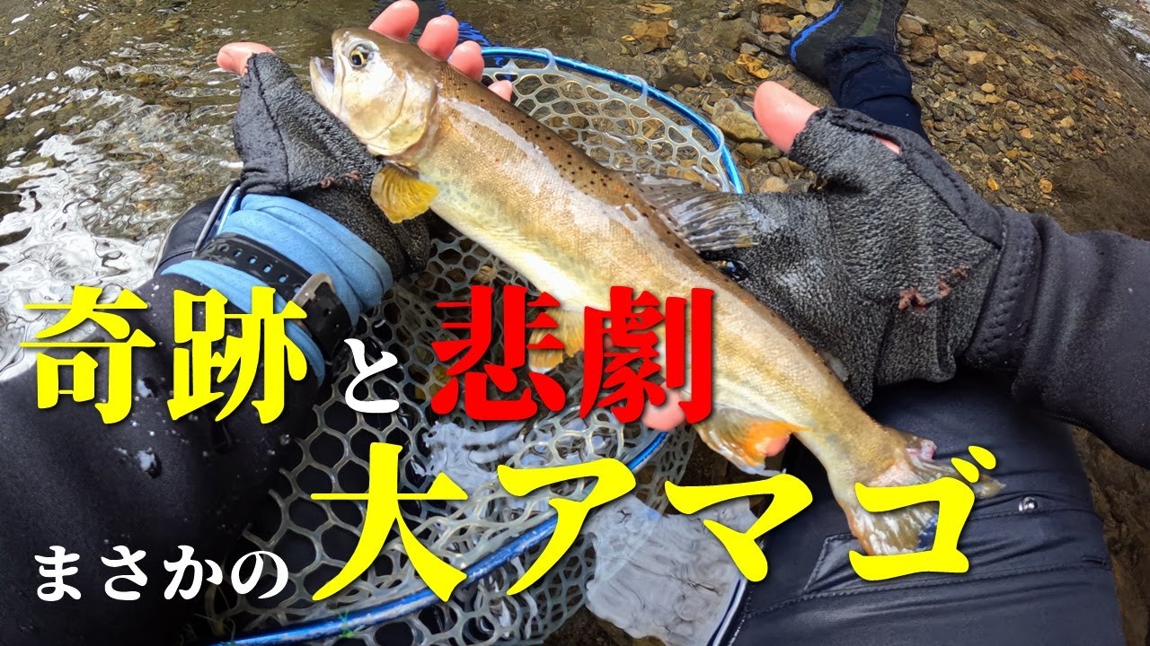 まさかの大アマゴ！初春の渓流釣りで起きた奇跡と悲劇！