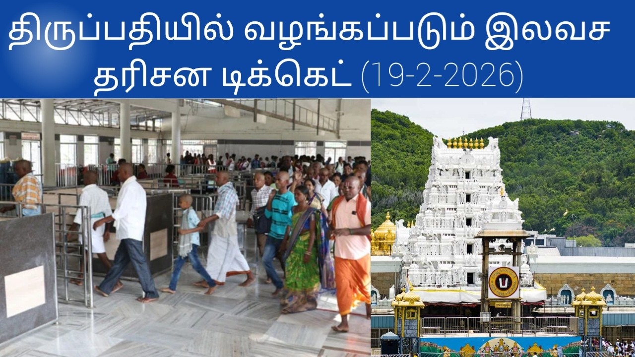 Tirupati updates today tamil | (19-2-2026)#tirupati