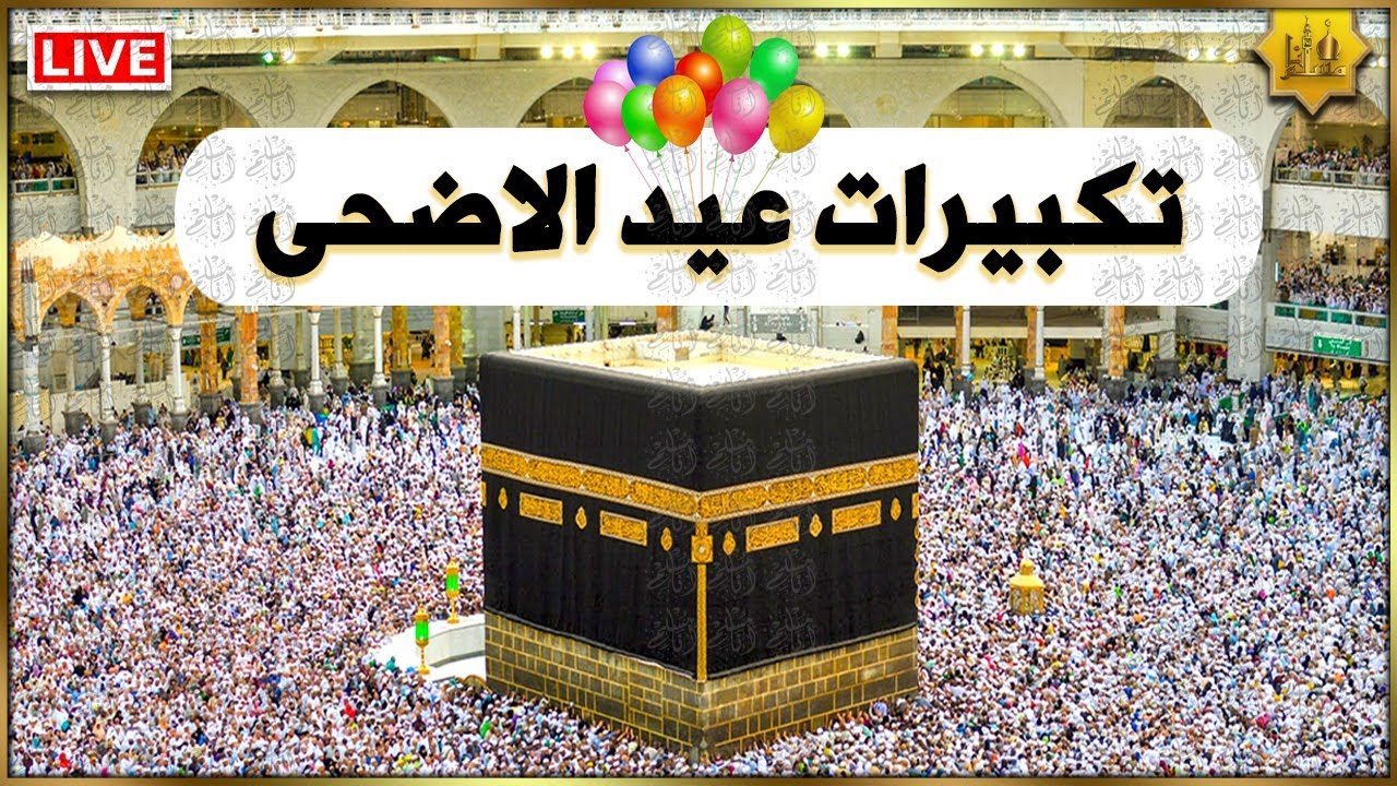 تكبيرات عيد الأضحى المبارك بأجمل الأصوات 💛🌼 لنجعلها تملأ الدنيا الله أكبر الله أكبر ولله الحمد Eid