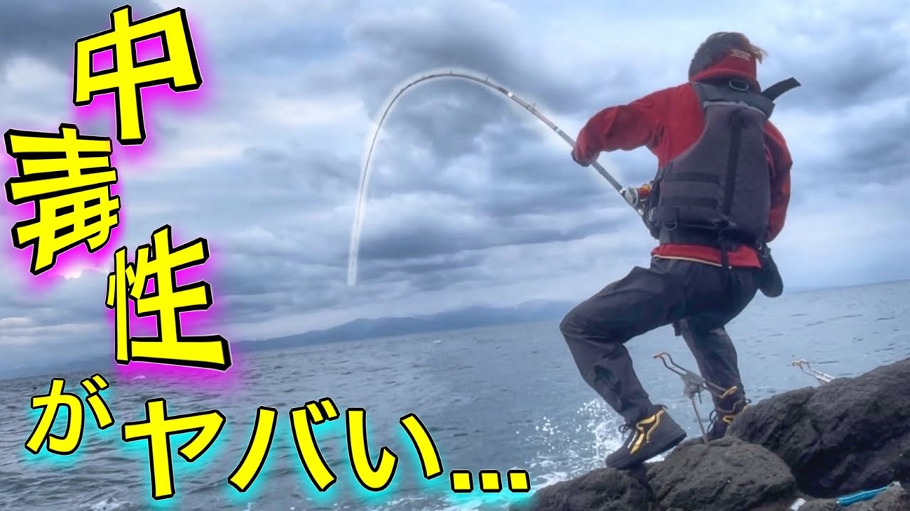 【底物釣り】強敵に竿をブチ曲げられた。