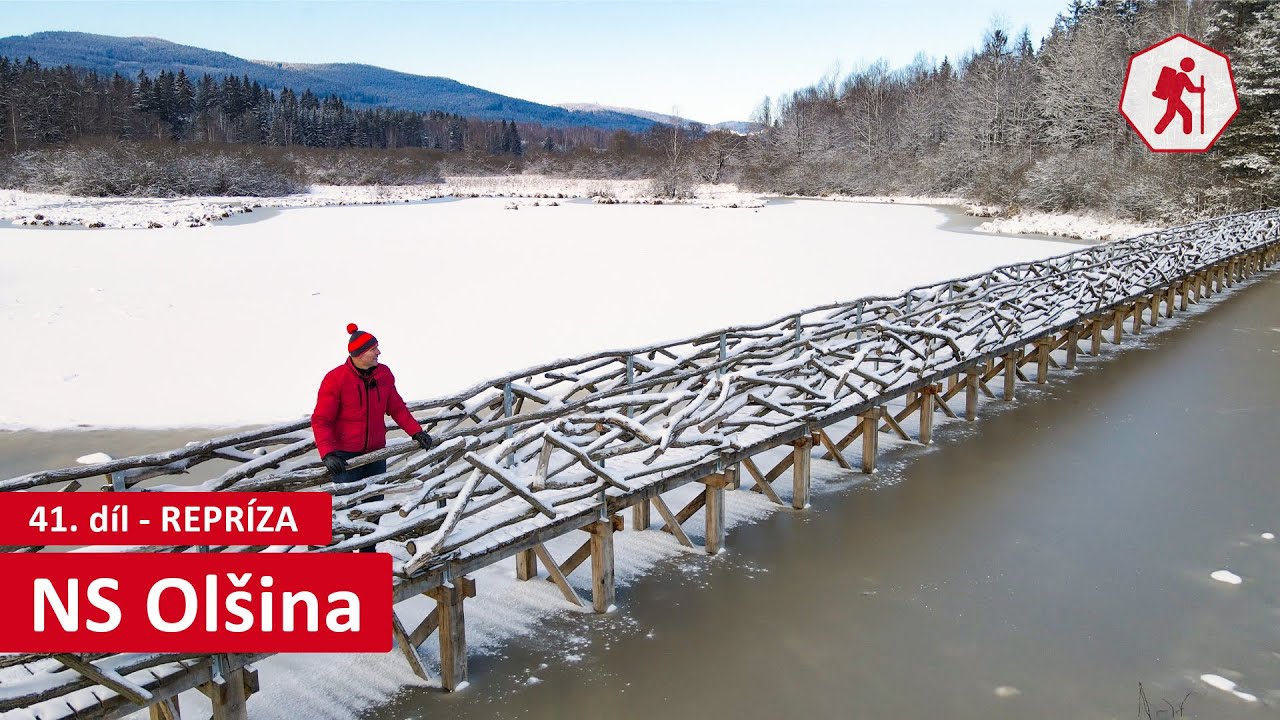 Naučná stezka Olšina (Lipno) | 41. díl (repríza) – Jihočeské víkendy [4K]