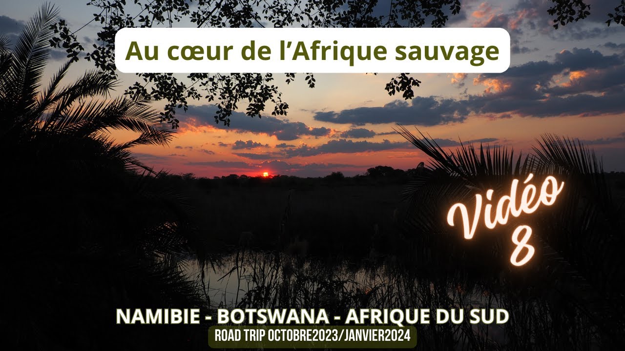 Namibie 2023 Bande Caprivi  VIDEO 8