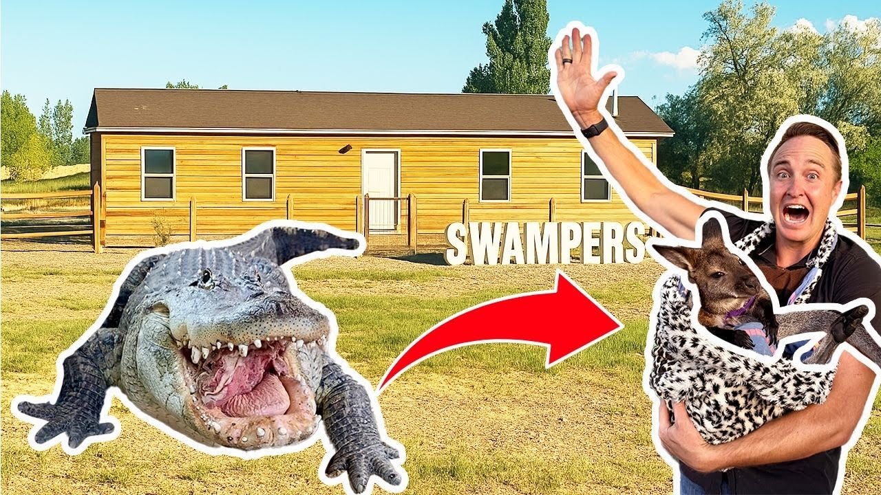 Wallaby Visits Alligator House (MUST See!)