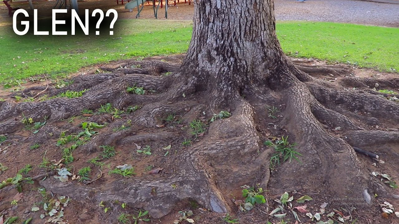 Historic Victoria, Australia Park - Silver, Old Copper Coins and GLEN?