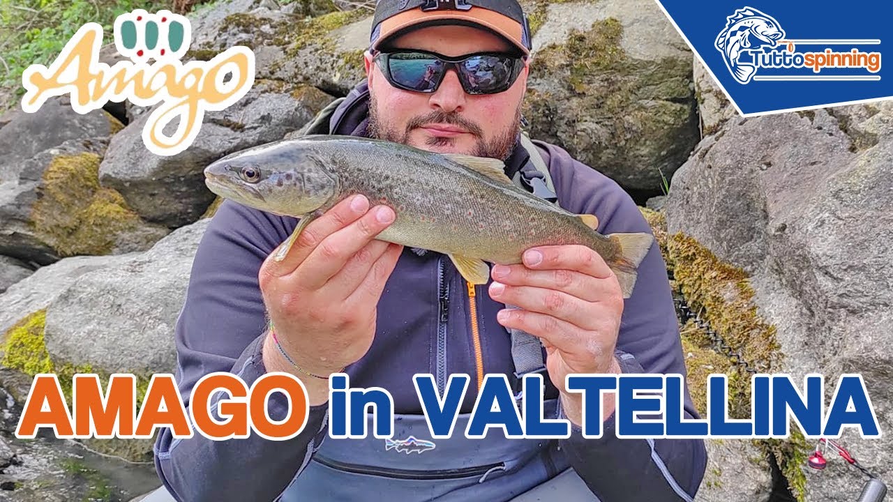 TROTE in VALTELLINA con la nuova AMAGO di ULTIMATE FISHING 🎣 Diari di pesca