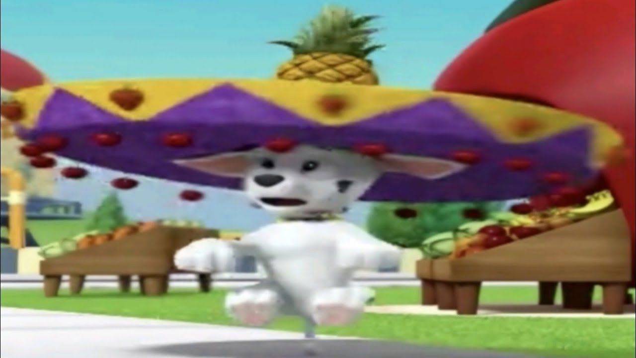 Top 5 Paw Pitrol