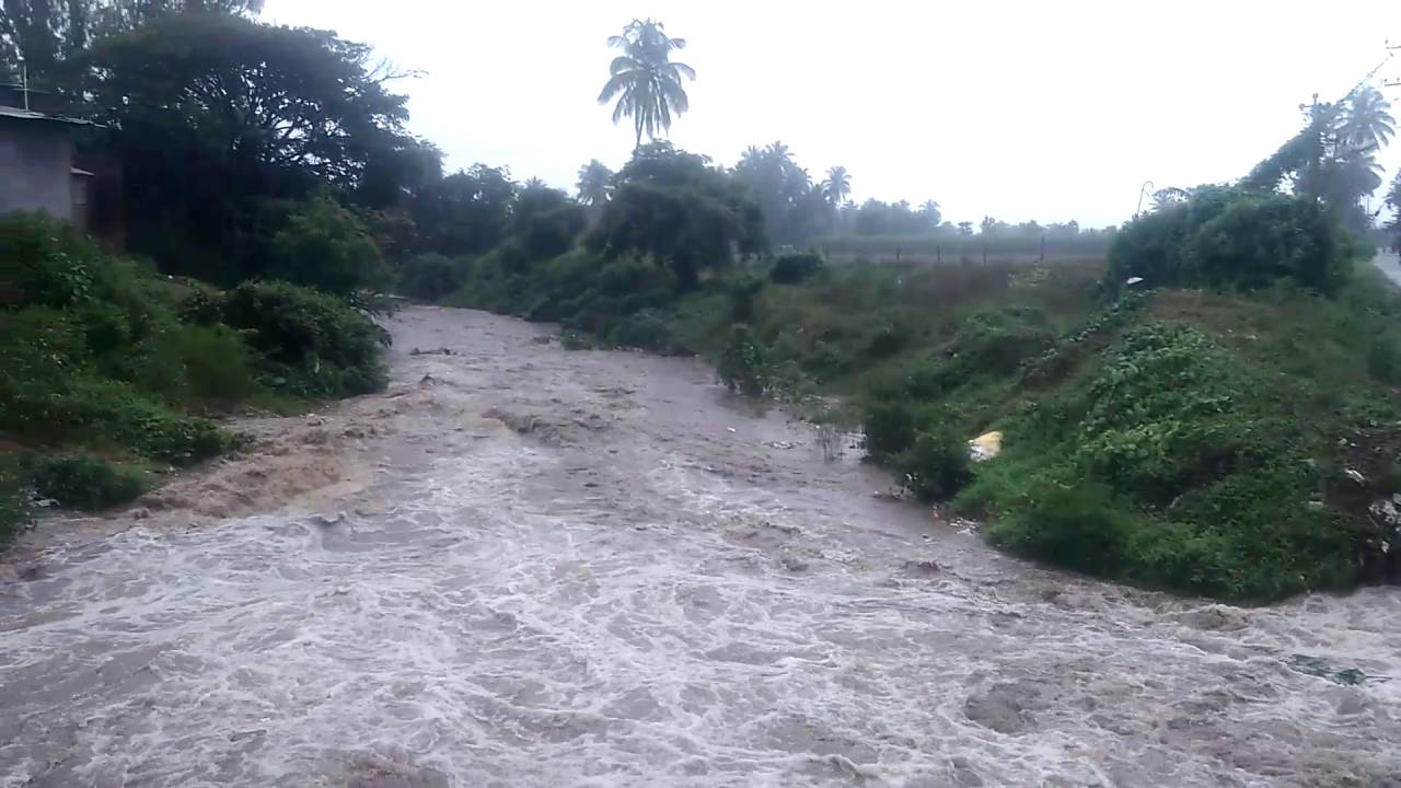 Nipani