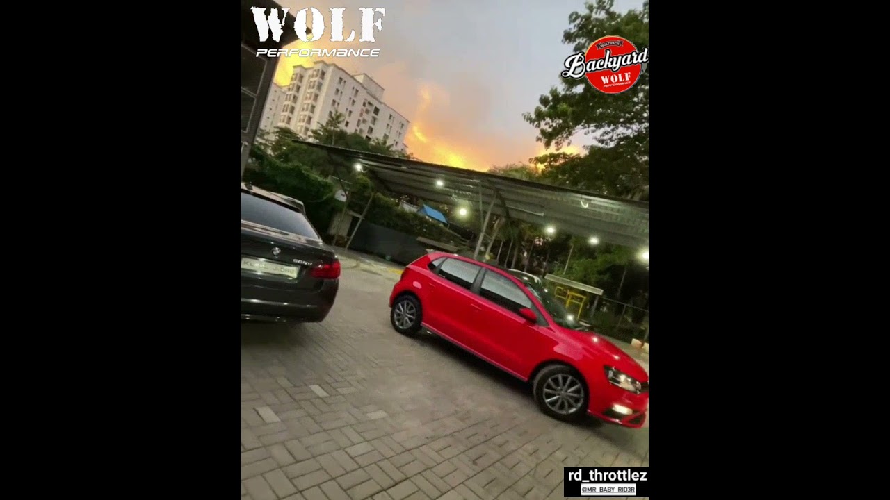 Wolf Backyard 1 - Wolf Performance Kochi - Great view at our workplace