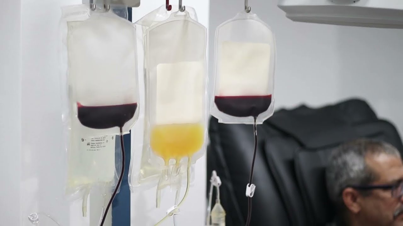 VIH y Sífilis, las enfermedades más comunes en estudios de sangre donada - Telemedellín