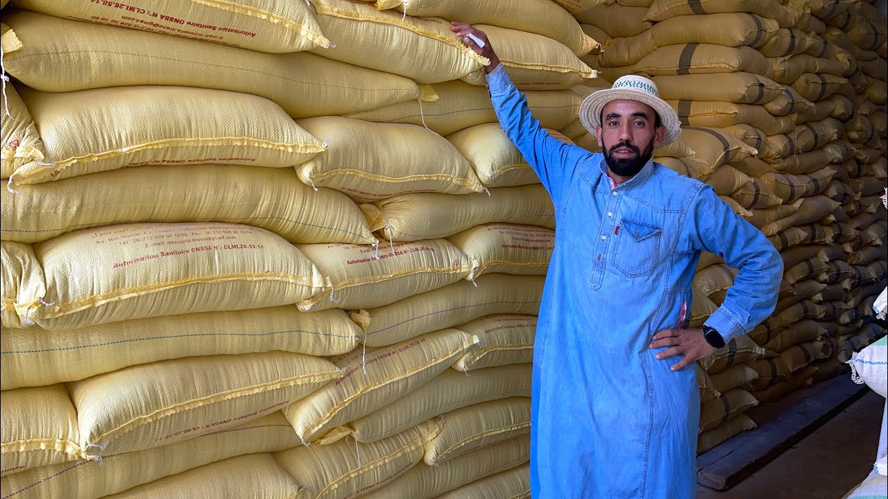 إليكم ثمن الأعلاف الماشية العلف تزاد مقارنة مع العام لي داز هذشي علاش لخروف غالي أجي تسمع على ودنيك