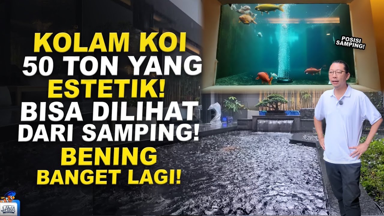 FINISH! UPDATE KOLAM KOI 50 TON - FULL DIISI IKAN KOI TETEP BENING!