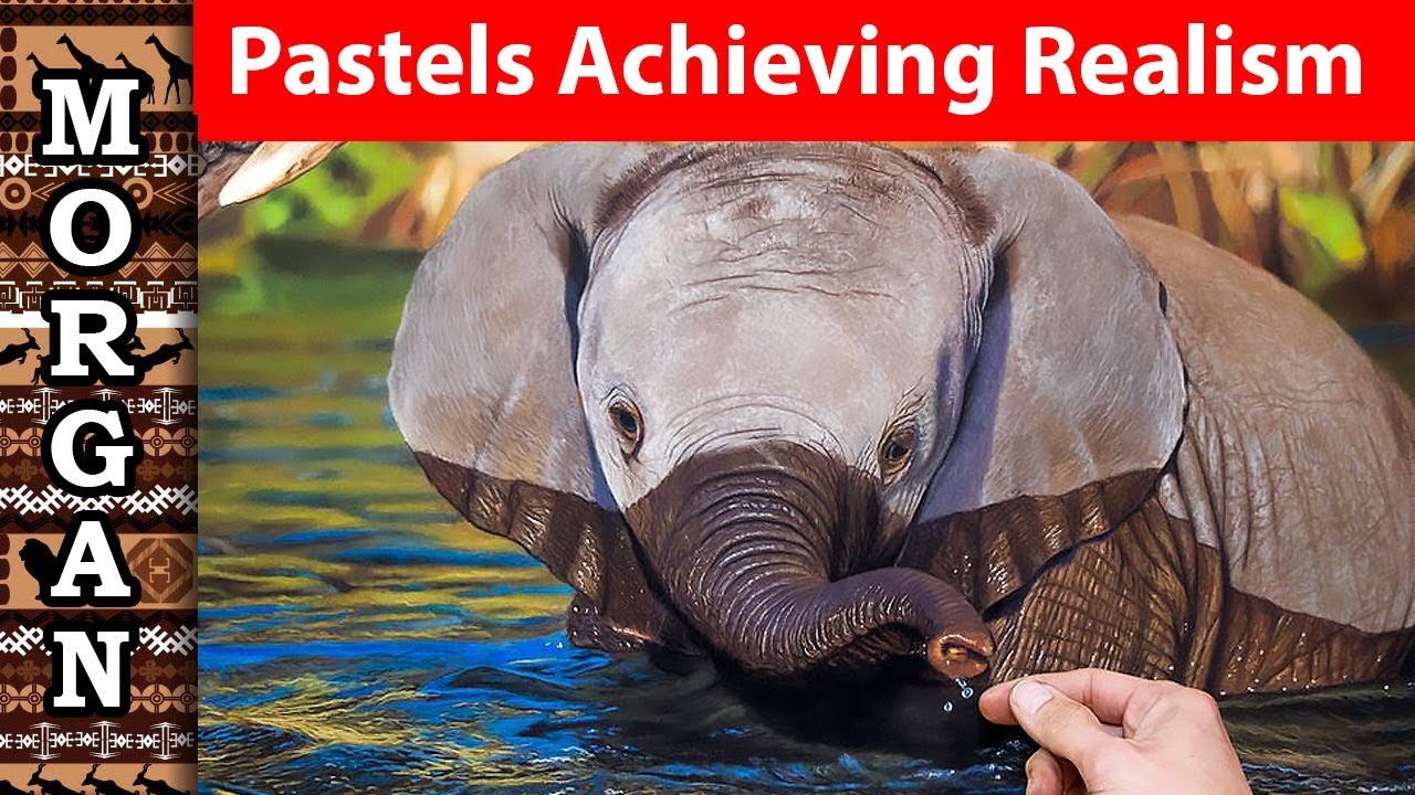 Pastel Realistic Drawing Painting Wildlife art Jason Morgan