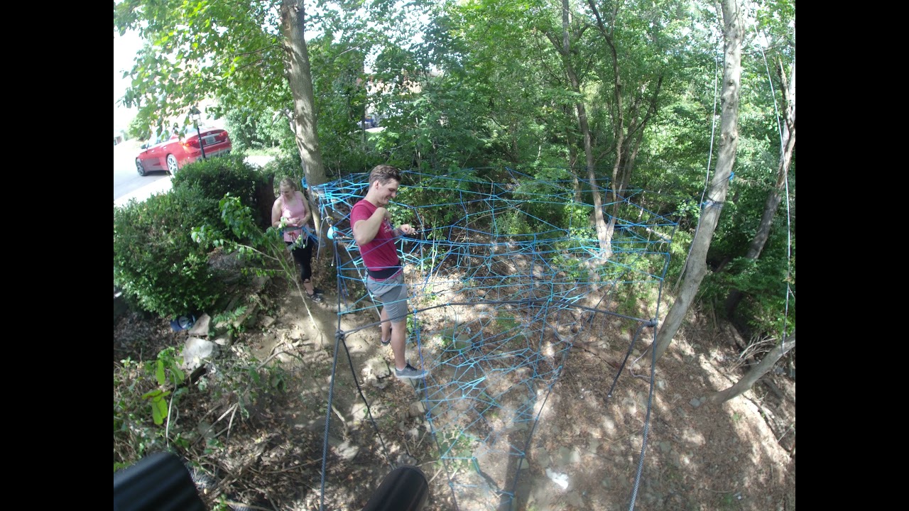 Tree Net Weaving Timelapse