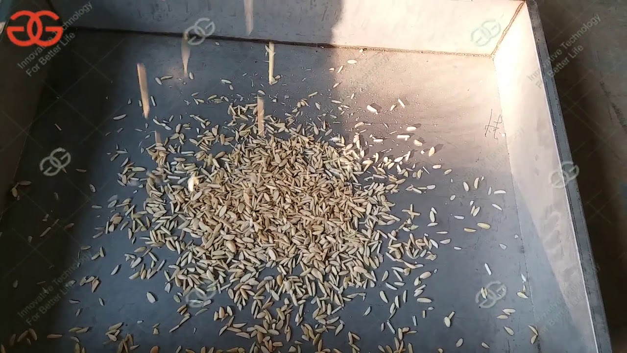 Almond Slivering Cutting Machine Video