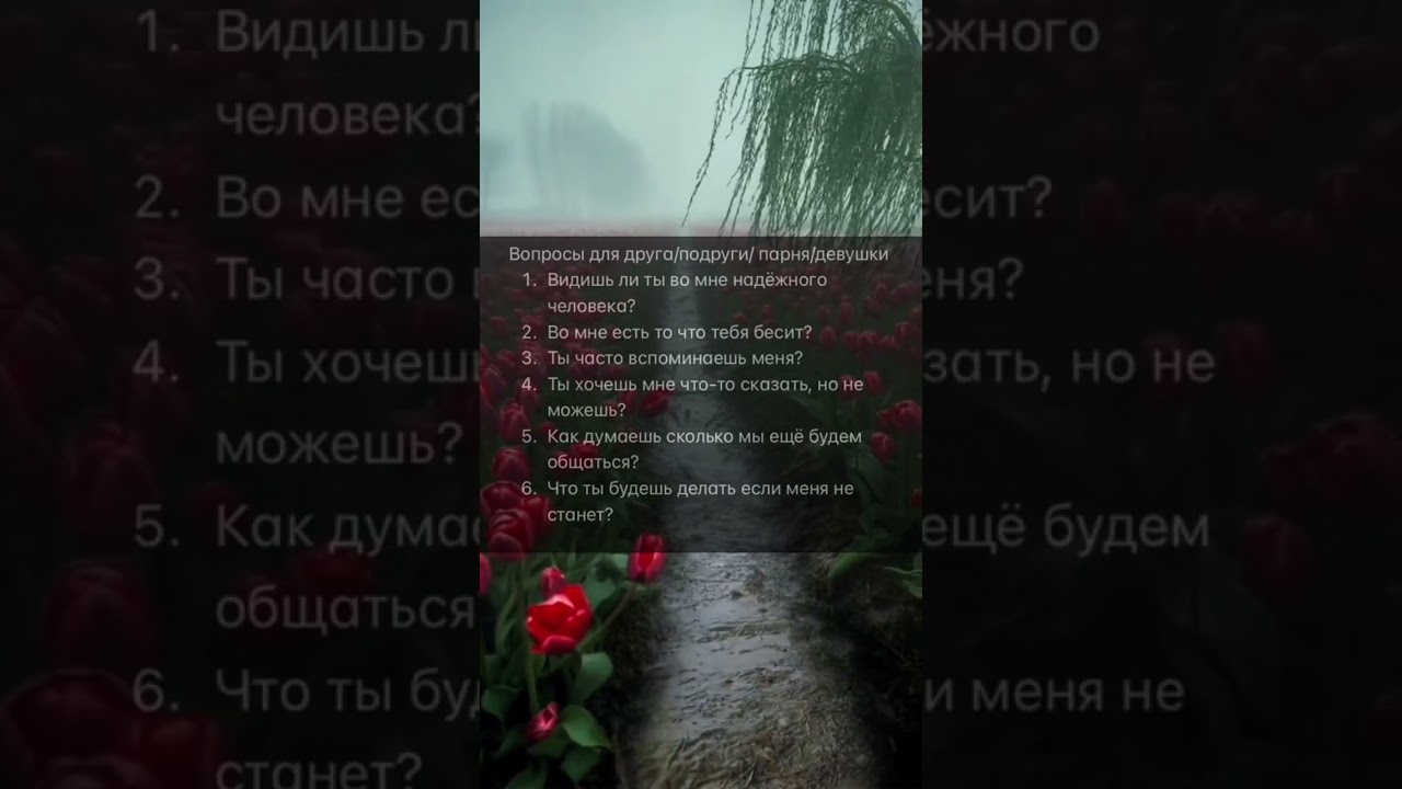 Вопросы))