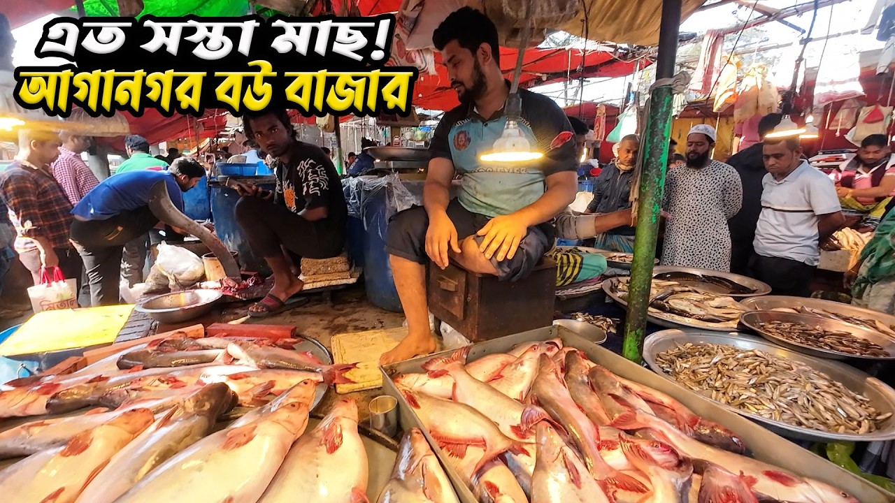 সস্তায় রুই কাতলা পাঙ্গাস! আগানগর বউ বাজারে মাছের দামের অবাক করা চিত্র | Fish Market Dhaka