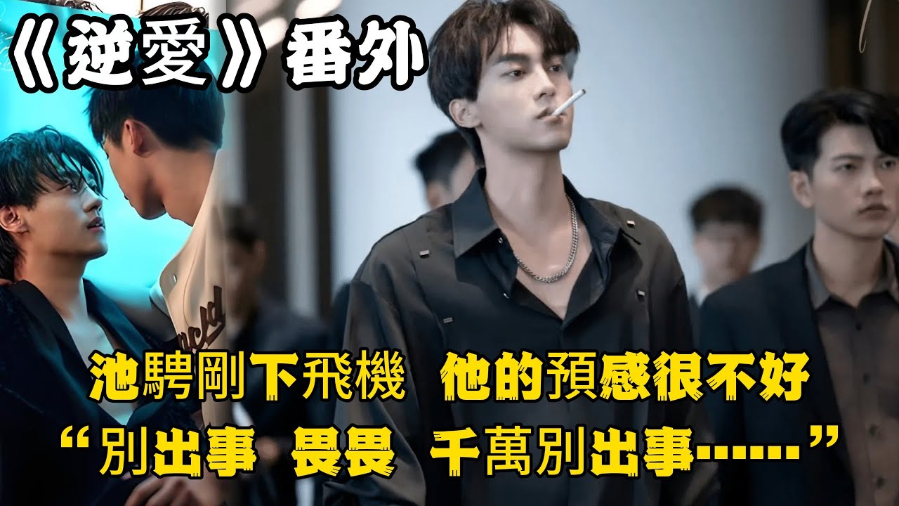 《逆愛》：番外！（64）池騁剛下飛機，要趕緊去找吳所畏，他的預感很不好“別出事，畏畏，千萬別出事……”#田栩宁 #梓渝 #吴所畏 #池骋 #逆爱 #revenged