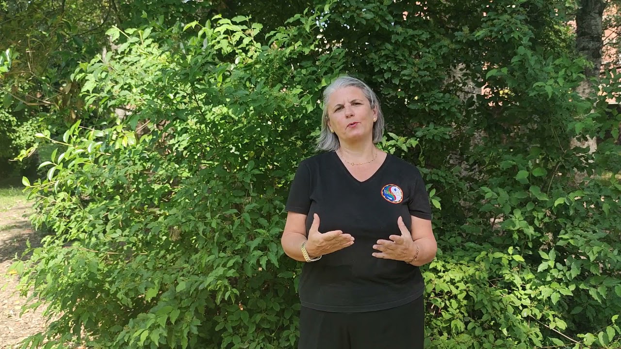 Tra l'Equilibrio, l'armonia e gli opposti | Van Ba | TAI CHI