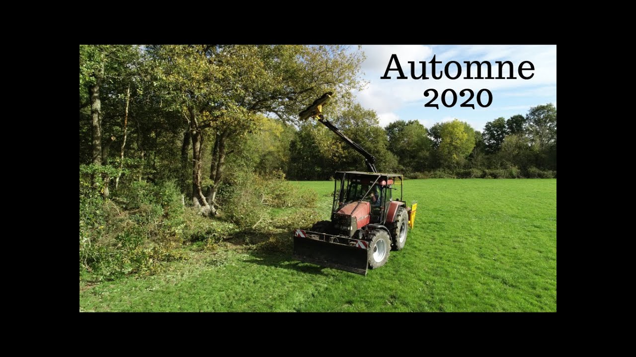 Leroy Elagage - sciage 2020 (lamier & circulaires).