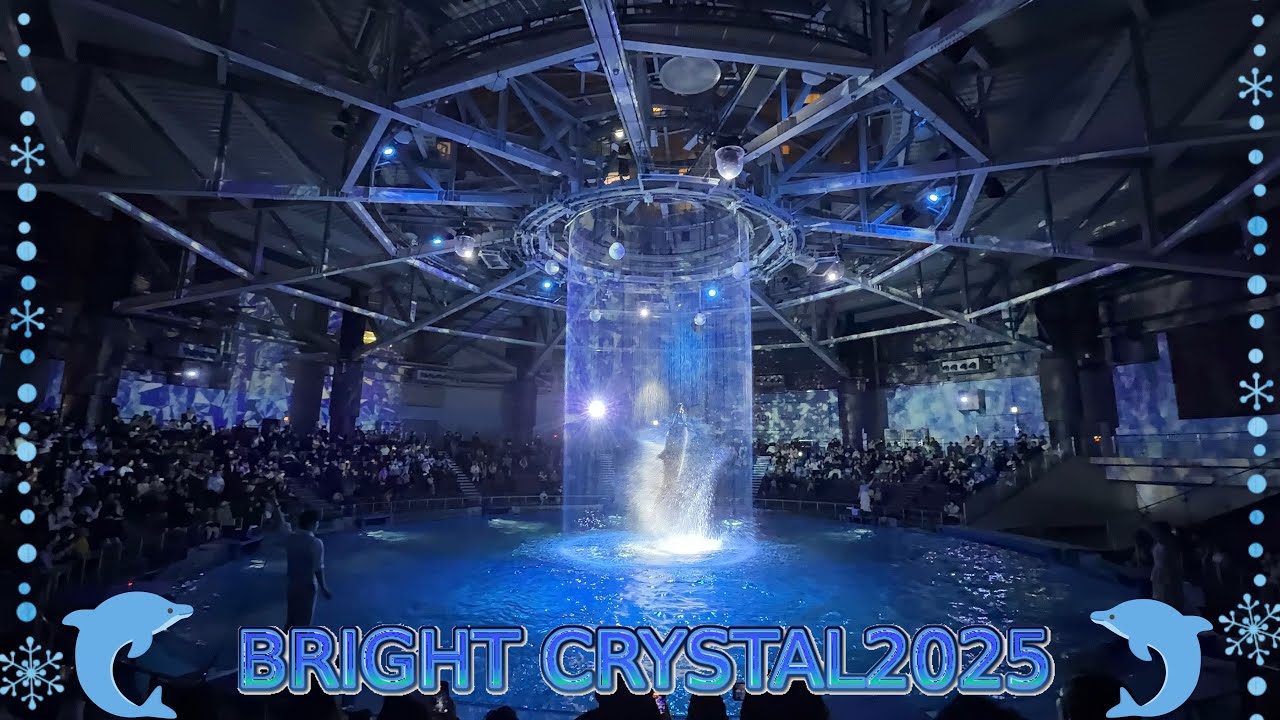 【完全版】マクセルアクアパーク品川 ドルフィンパフォーマンス（イルカショー）　ナイトVer.「BRIGHT CRYSTAL2025」【4K】