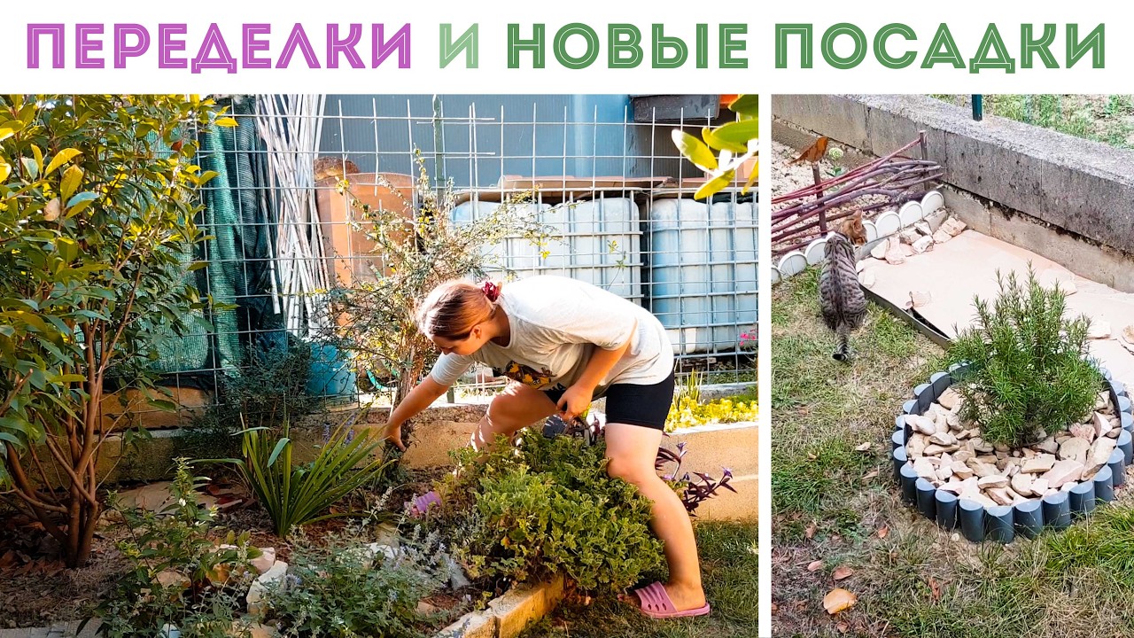 ⭐БОЛЬШИЕ ПЕРЕМЕНЫ В САДУ! Выкорчевала жасмин. Надоел. Наметила новую клумбу🌺