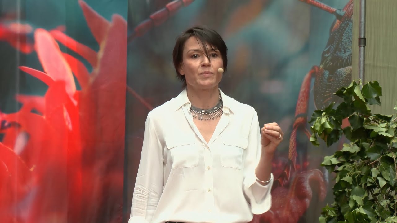The power of architecture and its impact on human wellbeing | Natalia Olszewska | TEDxPrague