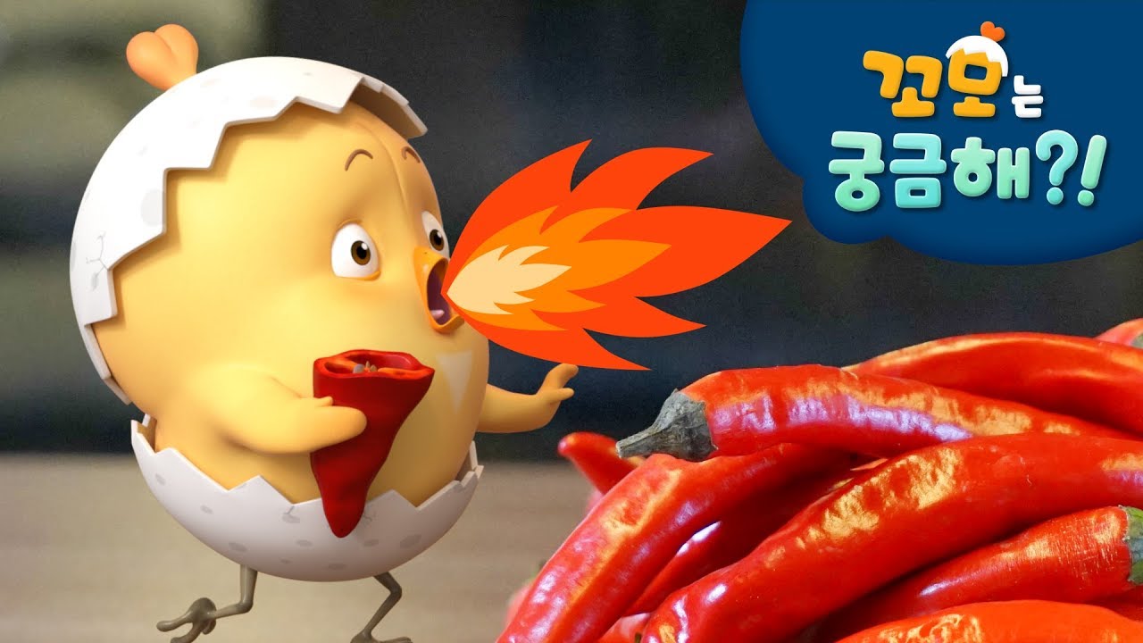 꼬모는 궁금해 | 고추 관찰하기 | 사물탐구 놀이