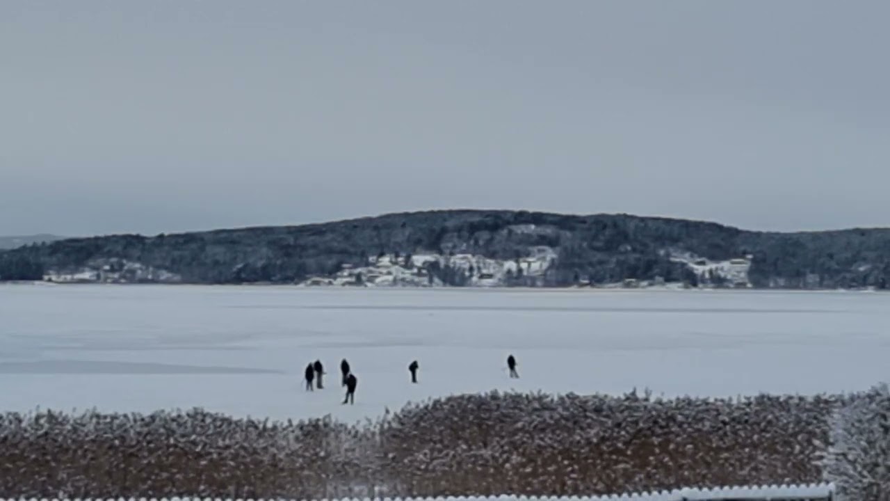 Kyrkviken