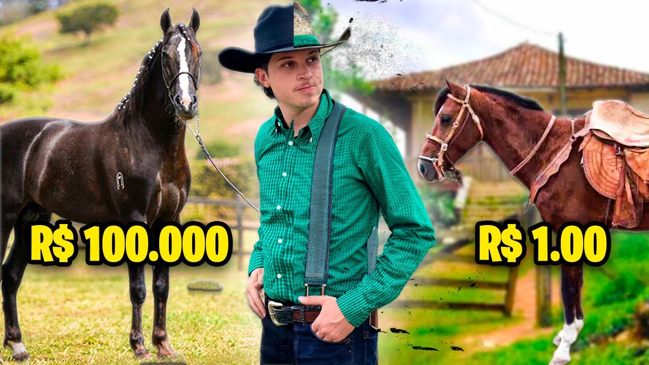 Cavalo de $1 VS CAVALO de $500.000